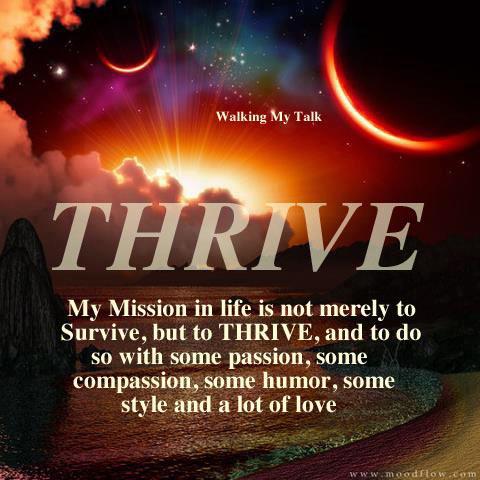 survive to thrive meaning survive to thrive meaning