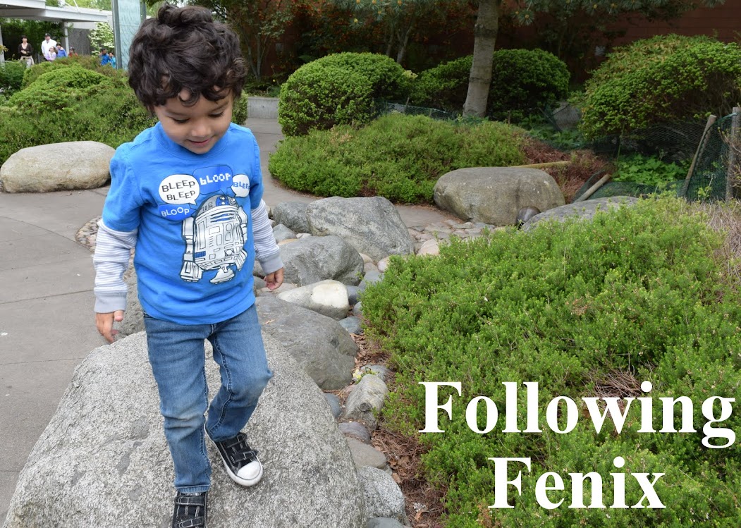 Following Fenix