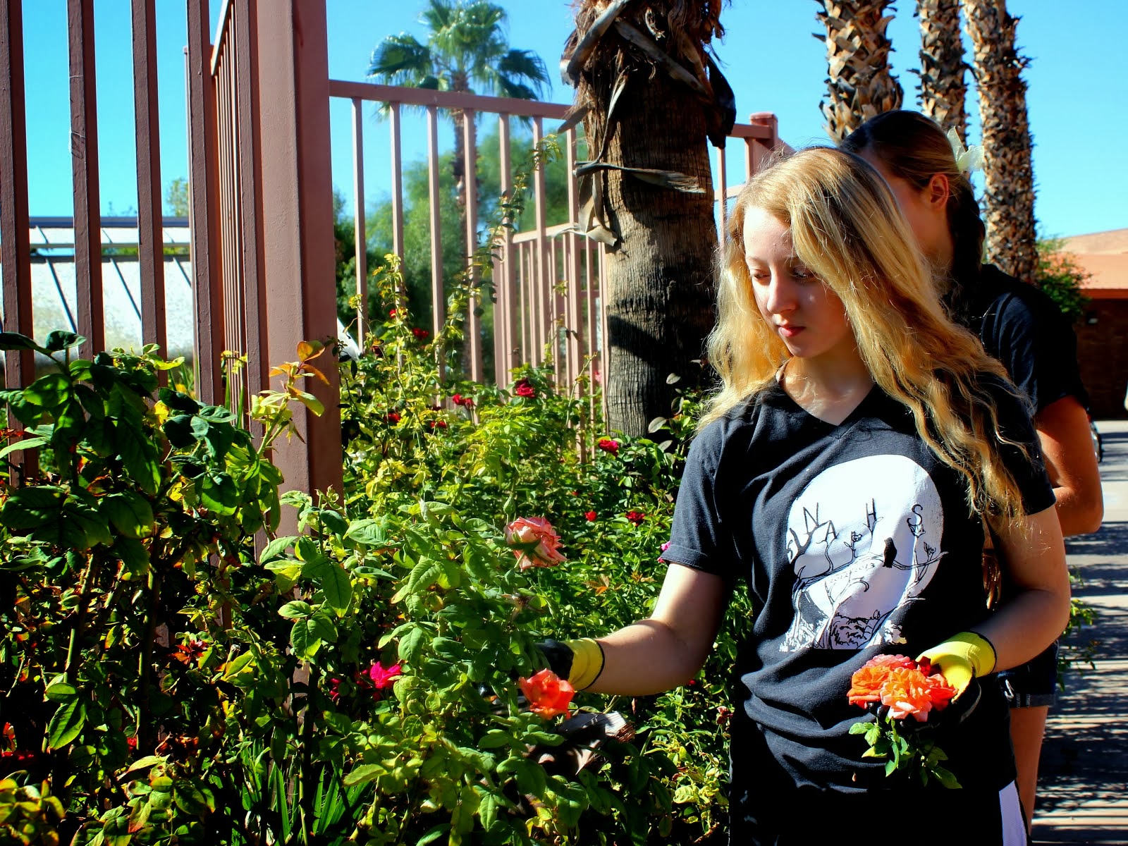 Outdoor Classroom