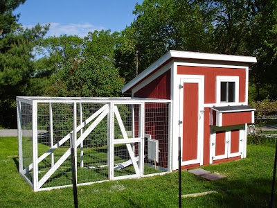 Learning The Frugal Life: Raising Backyard Chickens-A Guide to Housing