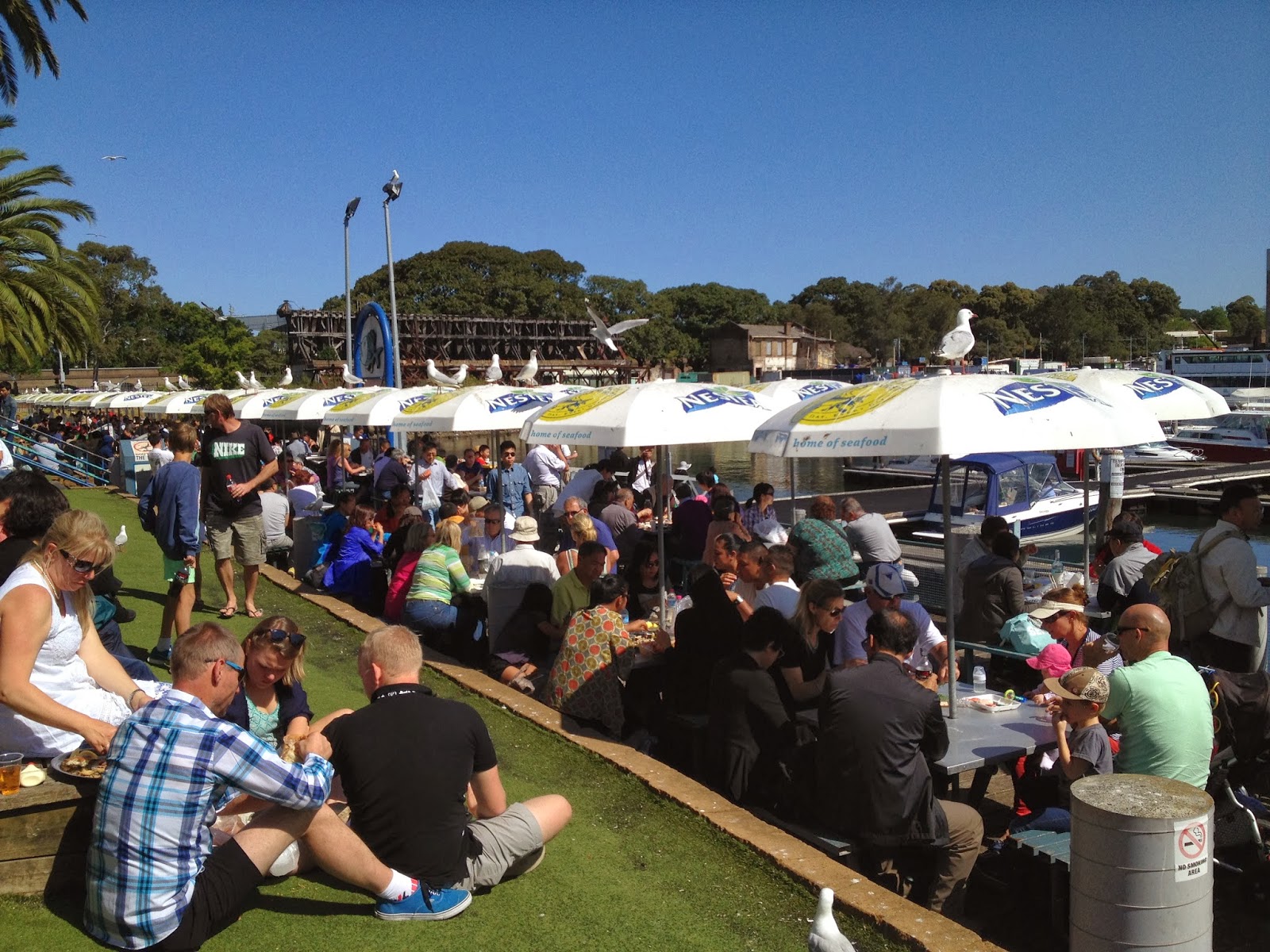 Sweet Lovely Journey Sydney Fish Market