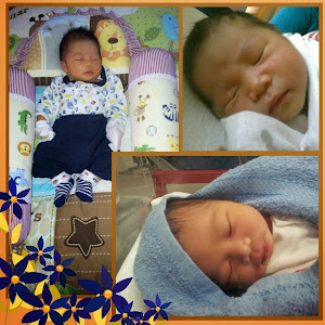 Muhammad Hariz Rizqi