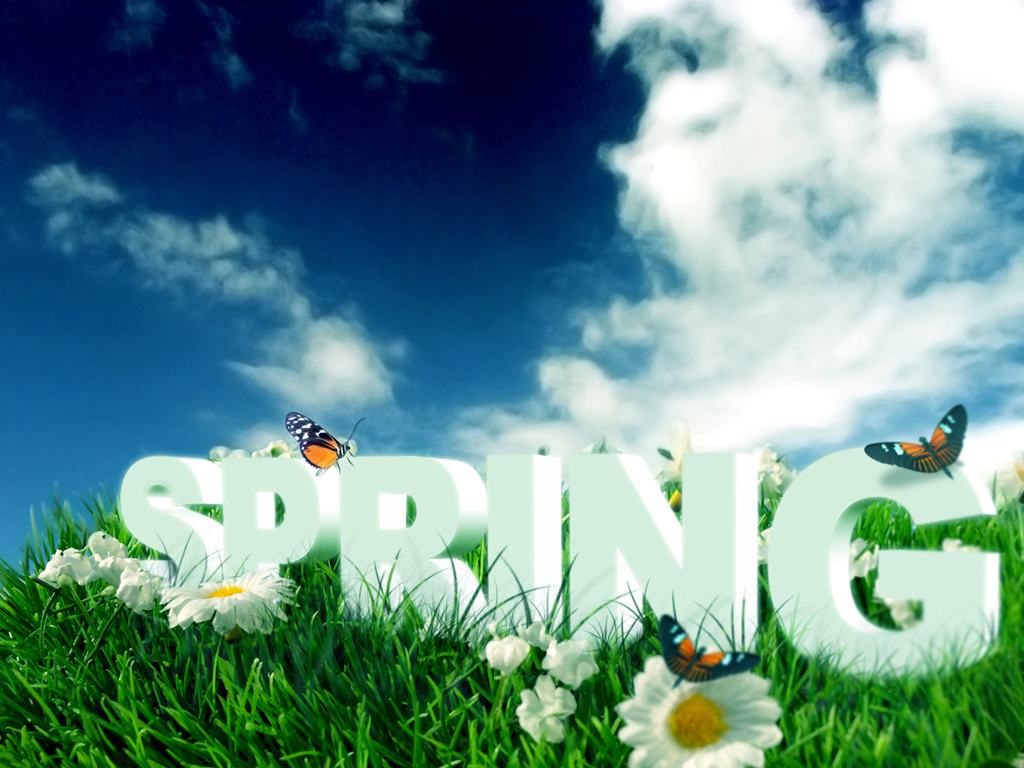 http://2.bp.blogspot.com/-JHS1toS7R14/TjNMnOJxVXI/AAAAAAAAG2Y/m8hmywenn7E/s1600/spring%20flowers%20wallpaper-1.jpg