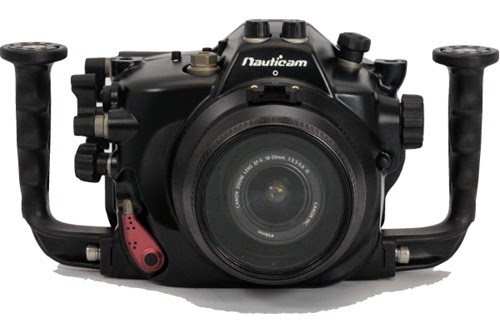 Gtgroove's Blog: Canon al lavoro su una fotocamera subacquea