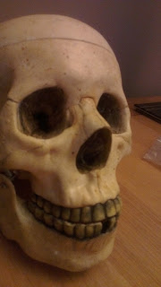 IMAG0138.jpg