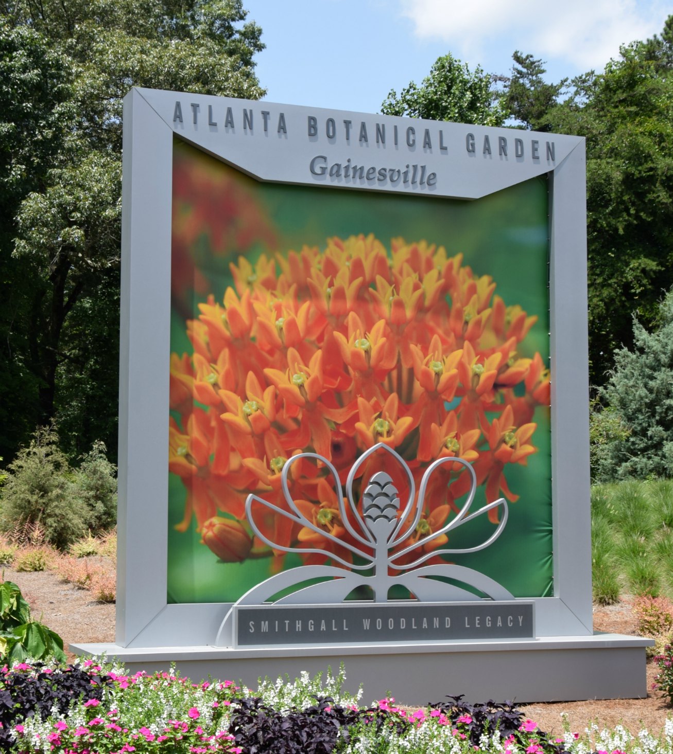 Using Georgia Native Plants Botanical Garden Abg In Gainesville