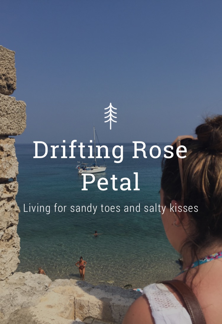 Drifting Rose Petal
