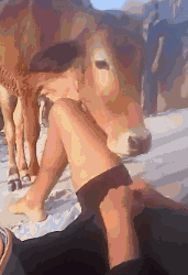 1.gif