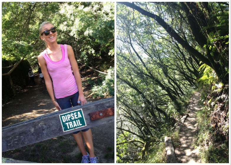 muir woods hiking the dipsea trail to stinson beach WellTraveled Wife