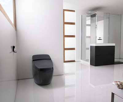 Modern Toilets