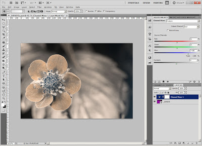 Processing false colour ultraviolet flower photo in Adobe Photoshop