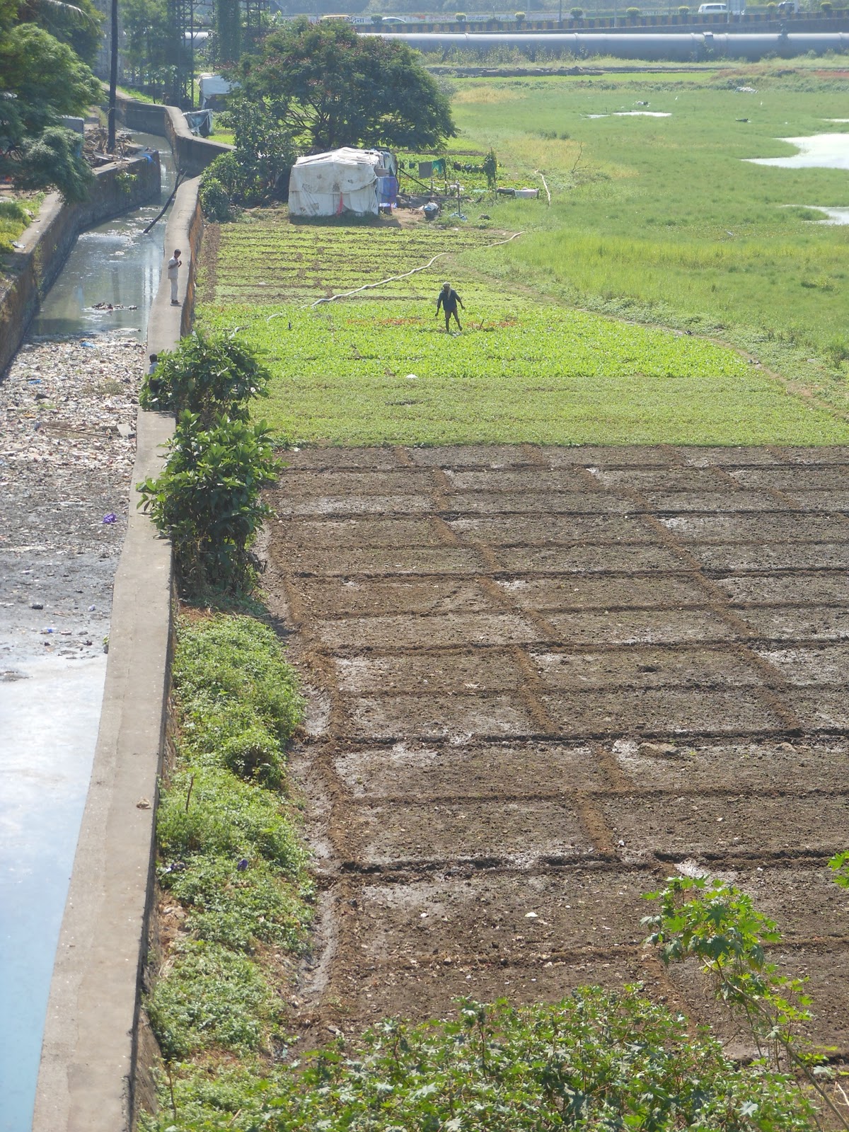 Five Tourism Die Bedeutung Der Arbeit In Der Landwirtschaft Im