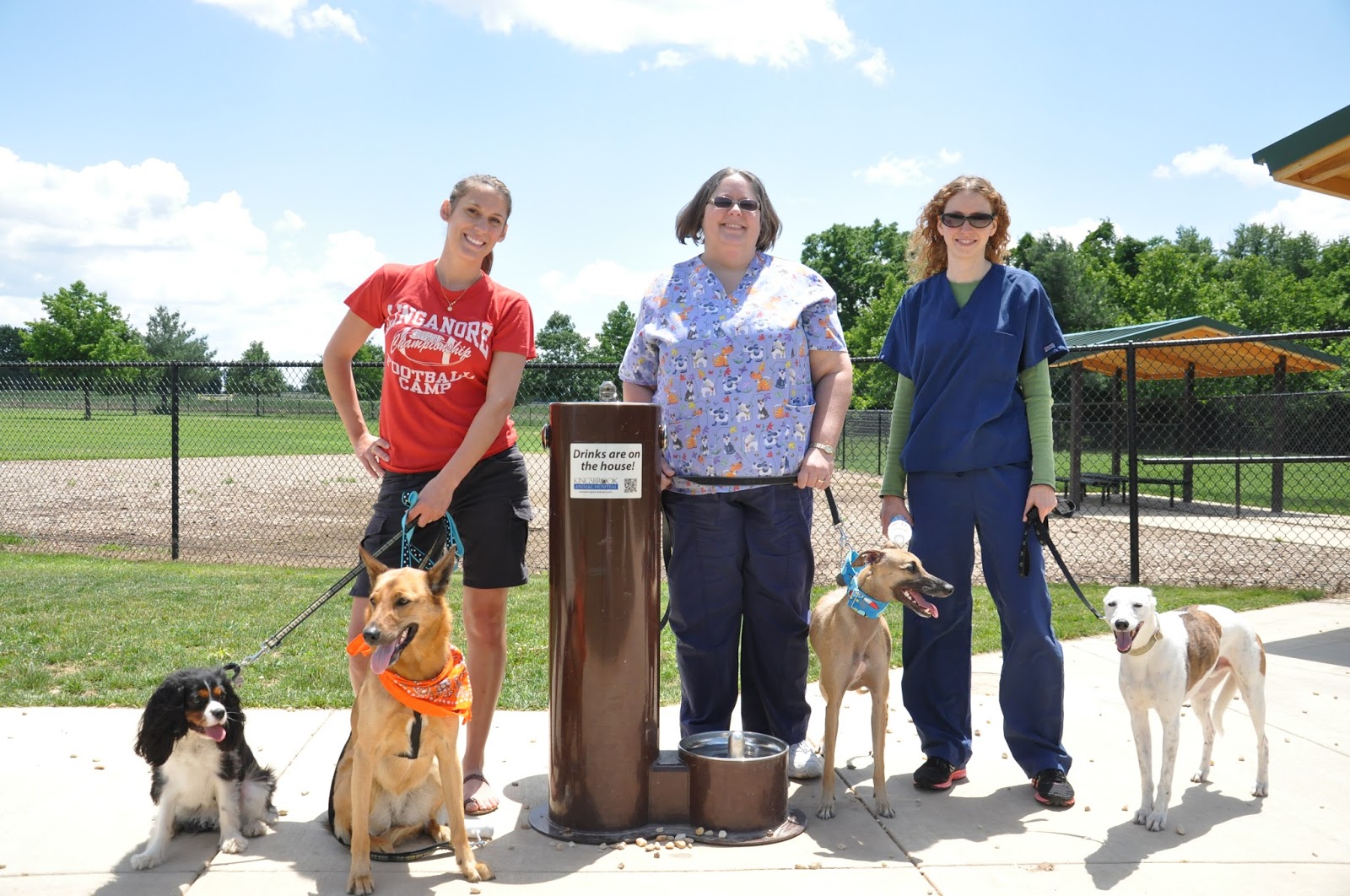 Kingsbrook Animal Hospital's Blog September 2013