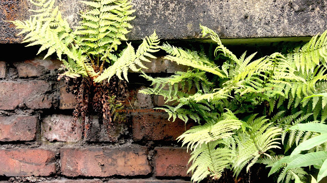 Brick and leaves en route to Blackpool beach