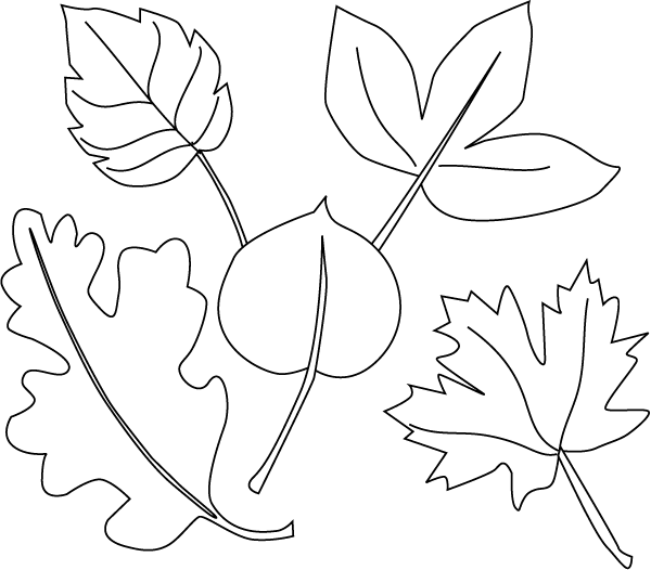 leaf coloring pages for preschool | FCP