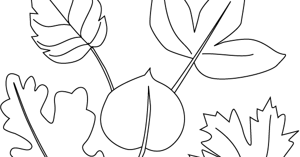 leaf coloring pages for preschool | FCP