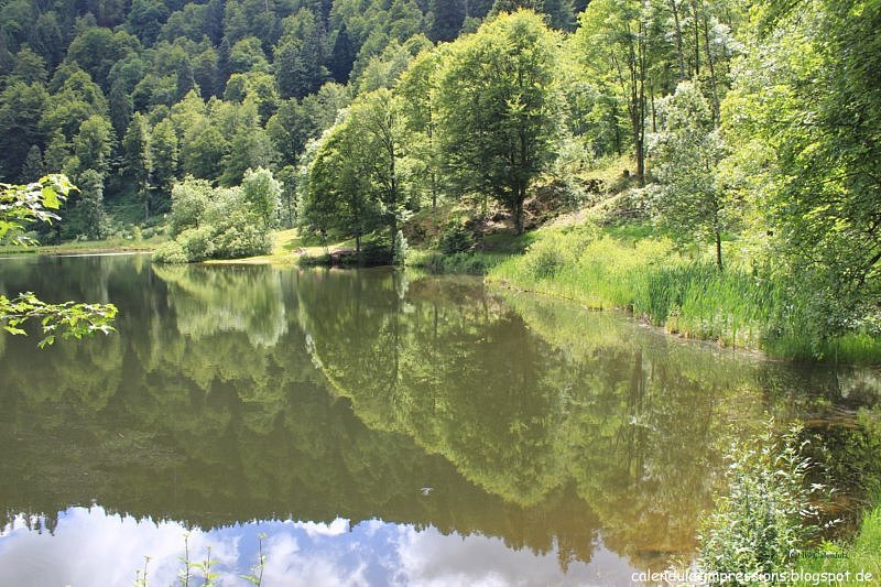 Spiegelungen im Wasser Nonnenmattweiher