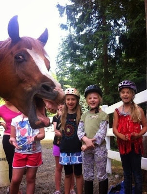 Los 19 Photobombs animales más divertidos Los 19 Photobombs animales más divertidos
