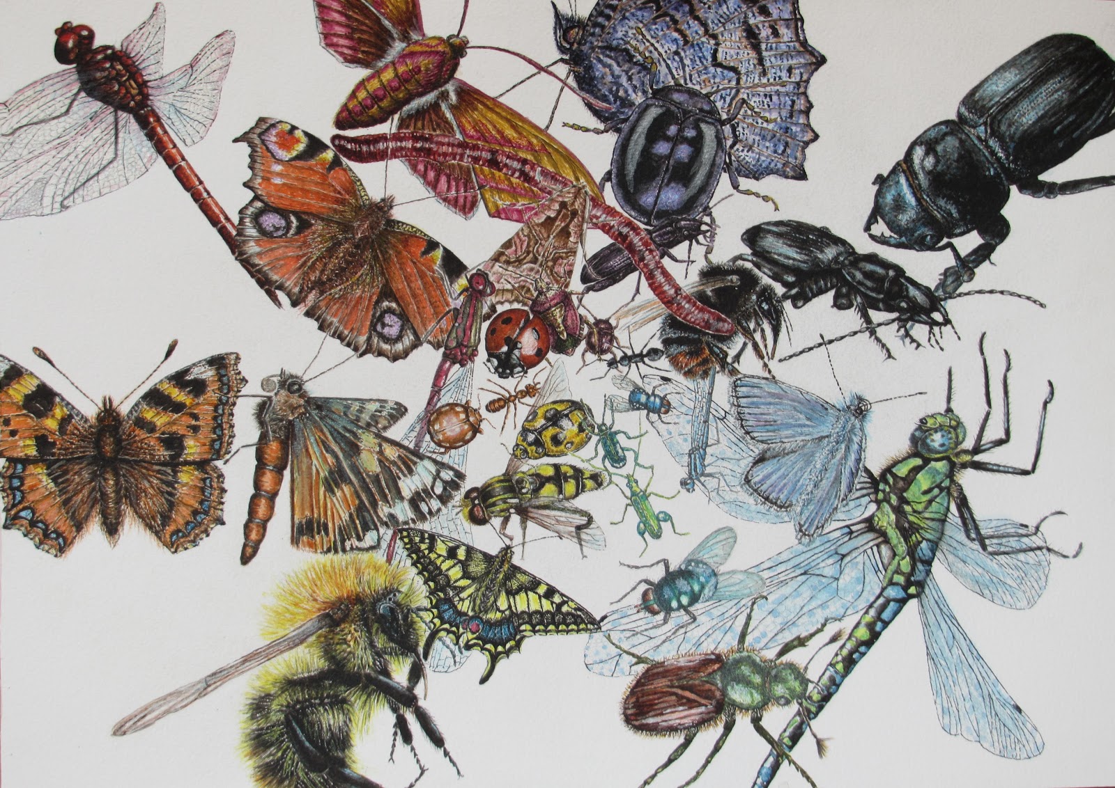 how to write a comparative essay english literature a level