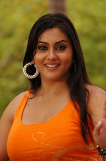 2011 namitha wallpapers_hot_HD_wallpapers