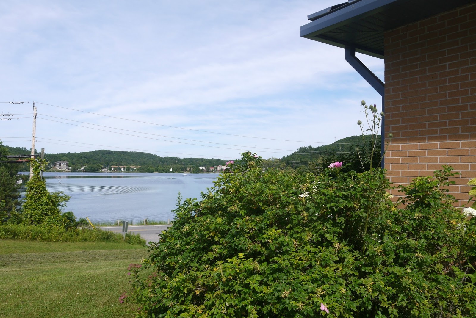 Sense and Simplicity Japanese Brush Painting