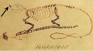 Semua Tentang Dinosaurus: Ensiklopedia Dinosaurus
