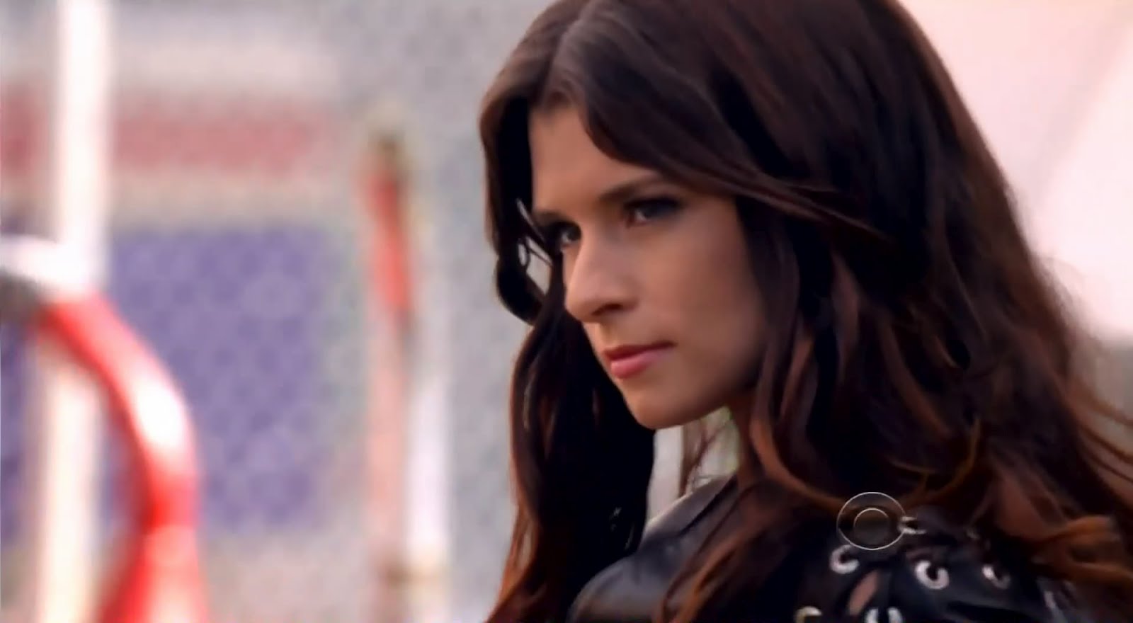 My Celebrity Danica Patrick Leather 2 (UHQ)