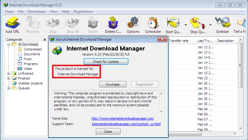 Internet Download Manager 6.22 Serial