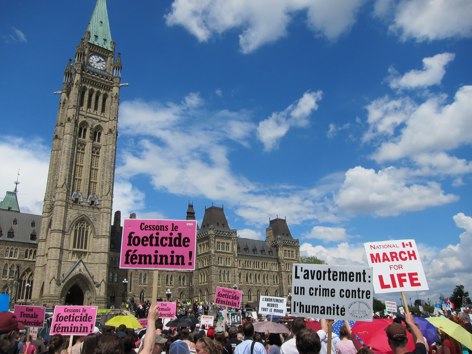 Persuasive Essays On Abortion