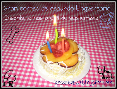 Sorteo de blogversario