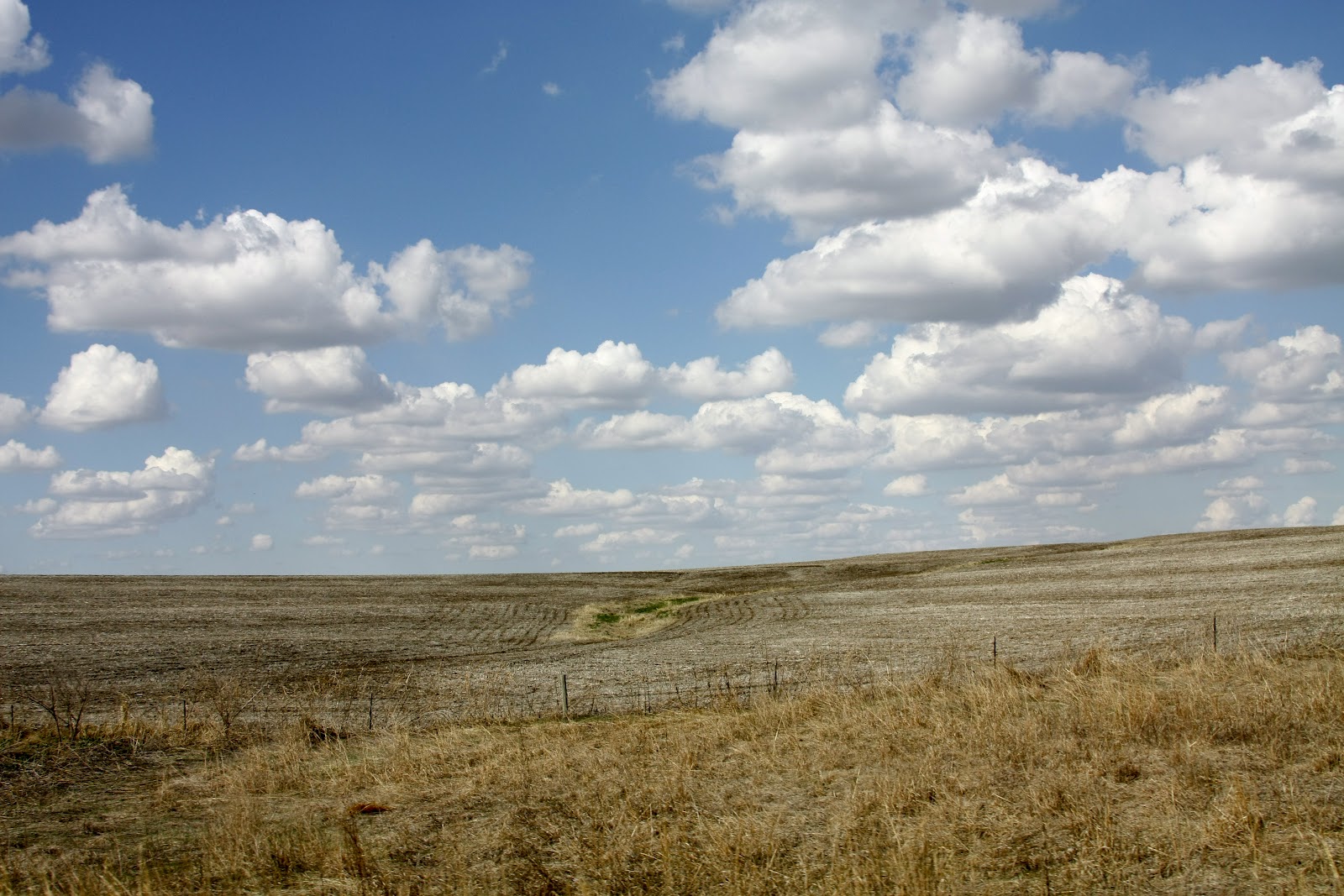 Cashjocky's Photos Great Plains and Endless Sky