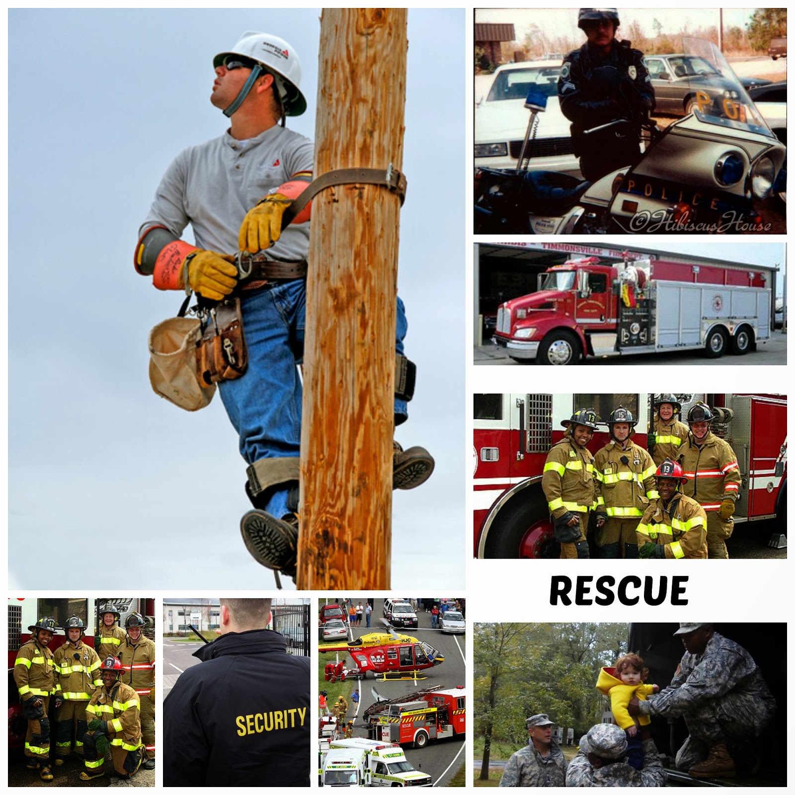 Hibiscus House South Carolina's Weather State of Emergency