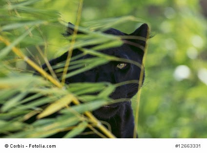 Potenzial Leben September 2014