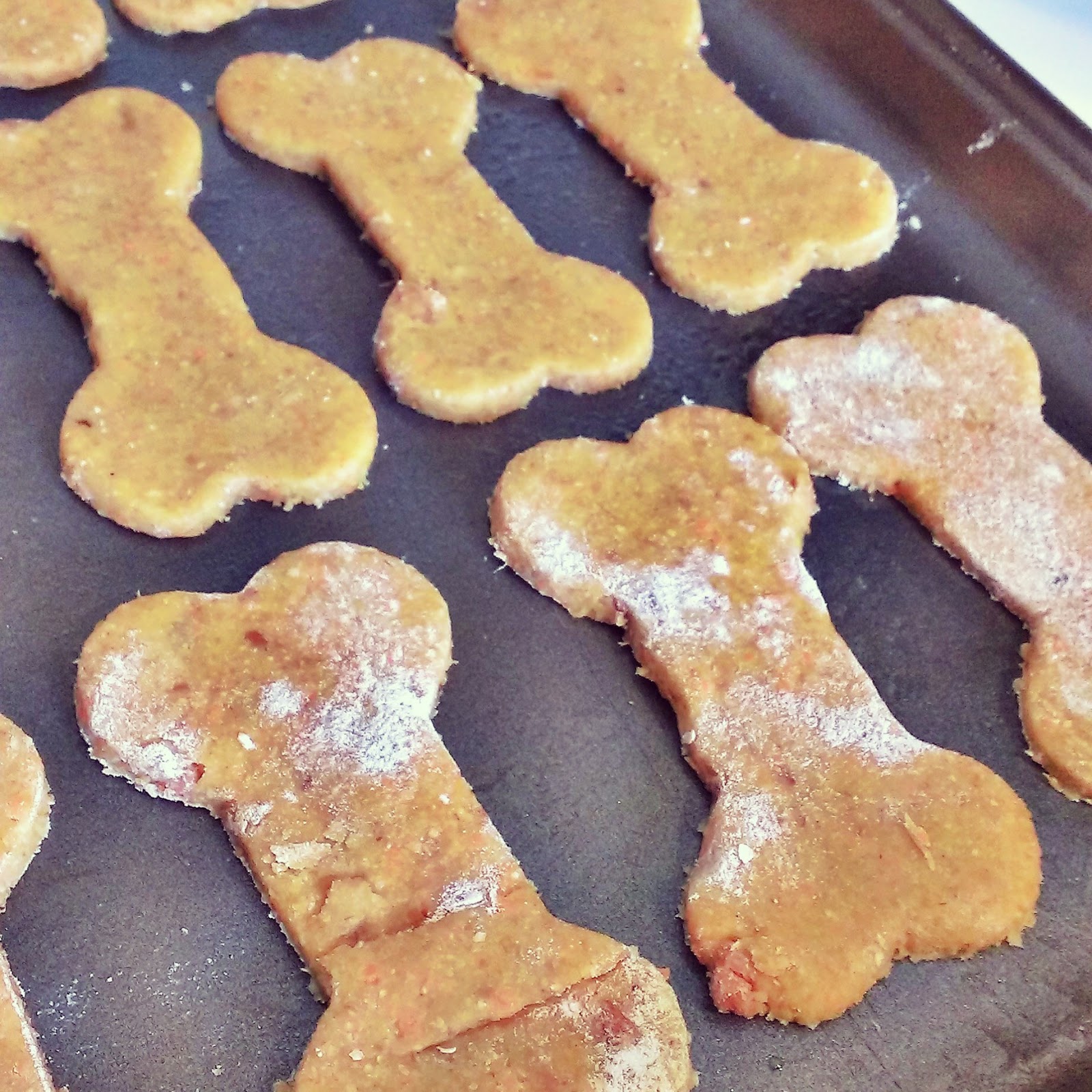 Cluck Wild Homestead Peanut Butter Bacon Dog Treats
