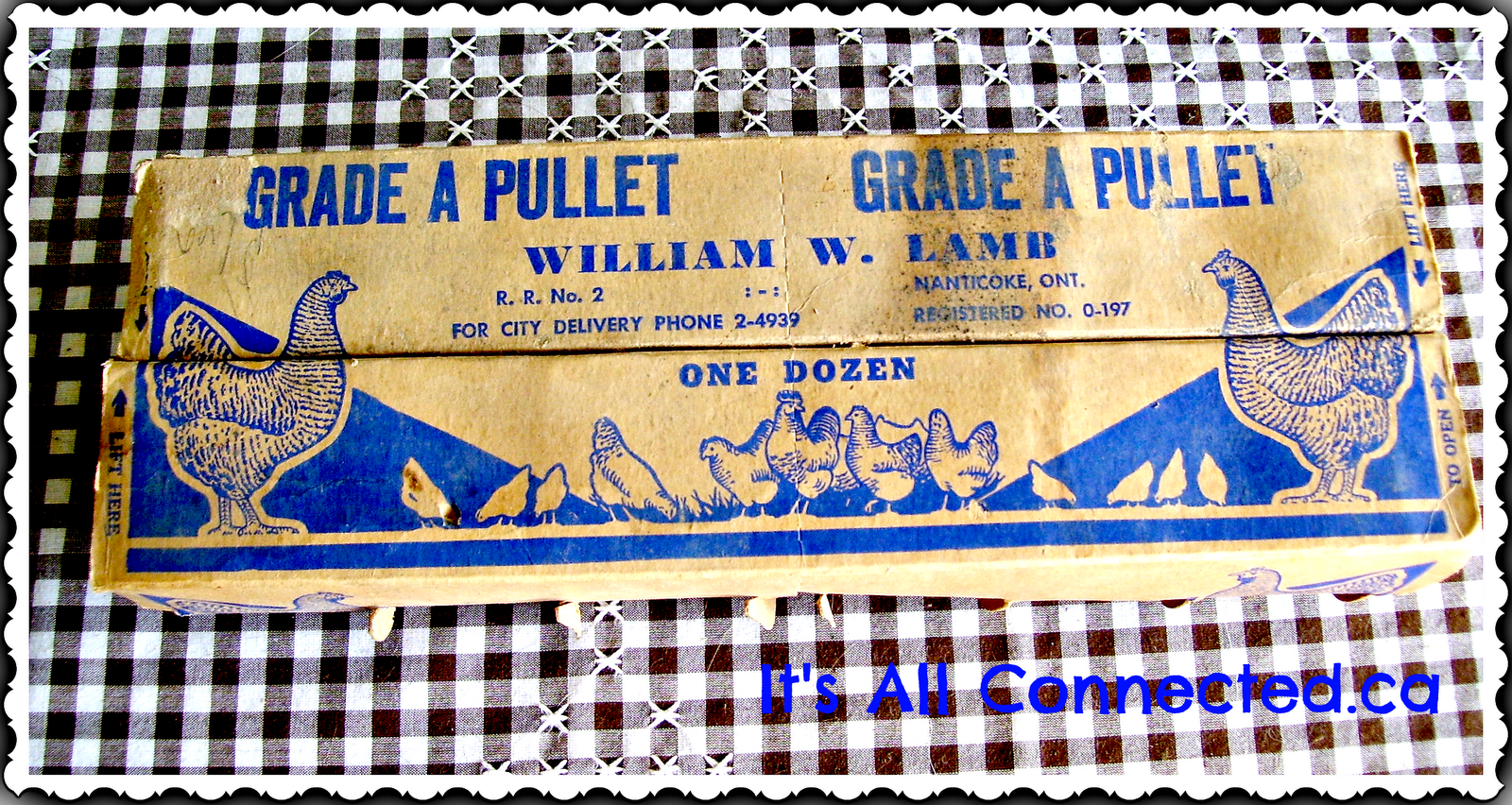It's All Connected Vintage Egg Carton Find!