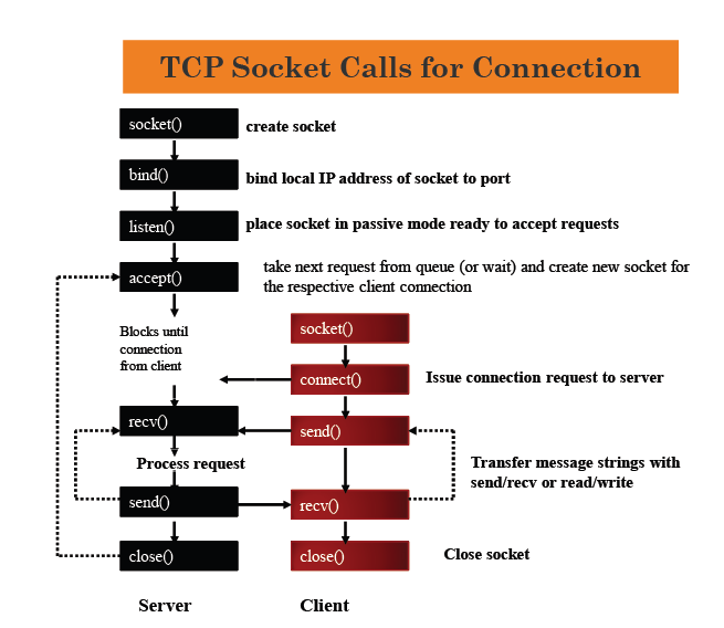 Tcp Socket Program In C
