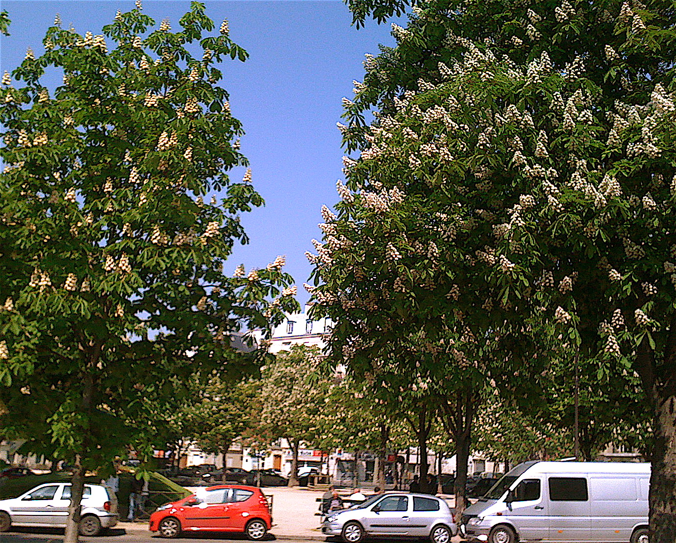 Postcards from Paris April 2011