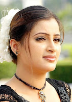 Telugu, Sexy, Navneet, Kaur, Hot, Actress, Wallpapers