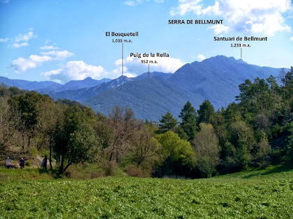 Panoràmica de la Serra de Bellmunt des dels camps de la Casa Nova de la Coma Panoràmica de la Serra de Bellmunt des dels camps de la Casa Nova de la Coma