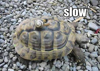 2 slow