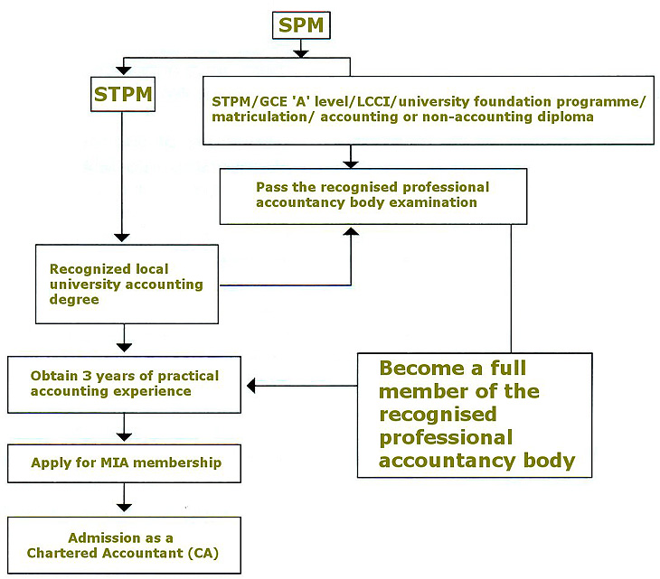 Route to a Chartered Accountant in Malaysia to