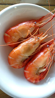 泰國蝦健康養殖