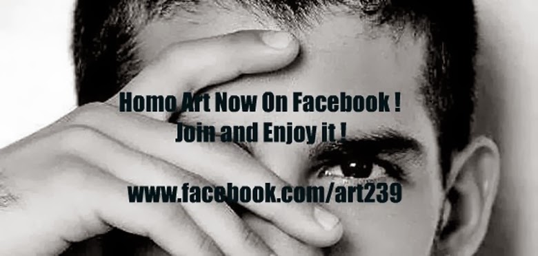 Homo Art  ·   Sitio Web de Arte Fotografico  ·  facebook.com/art239
