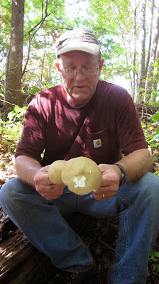 spring creek farm pioneer tn wwoof usa mushroom hunting