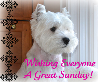 Image result for happy sunday everyone images