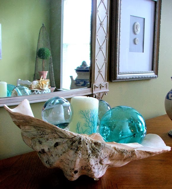 Everything Coastal.... A Sea Shell Display for the Holidays Coastal
