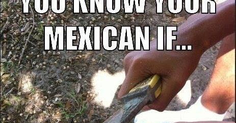 So Mexican You Know Your Mexican If 10