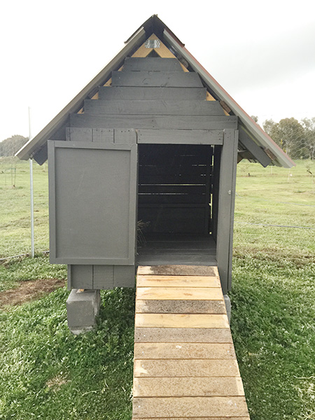 Small And Simple Pallet Chicken Coop | Pallet Projects To Use Around The Homestead Small And Simple Pallet Chicken Coop | Pallet Projects To Use Around The Homestead