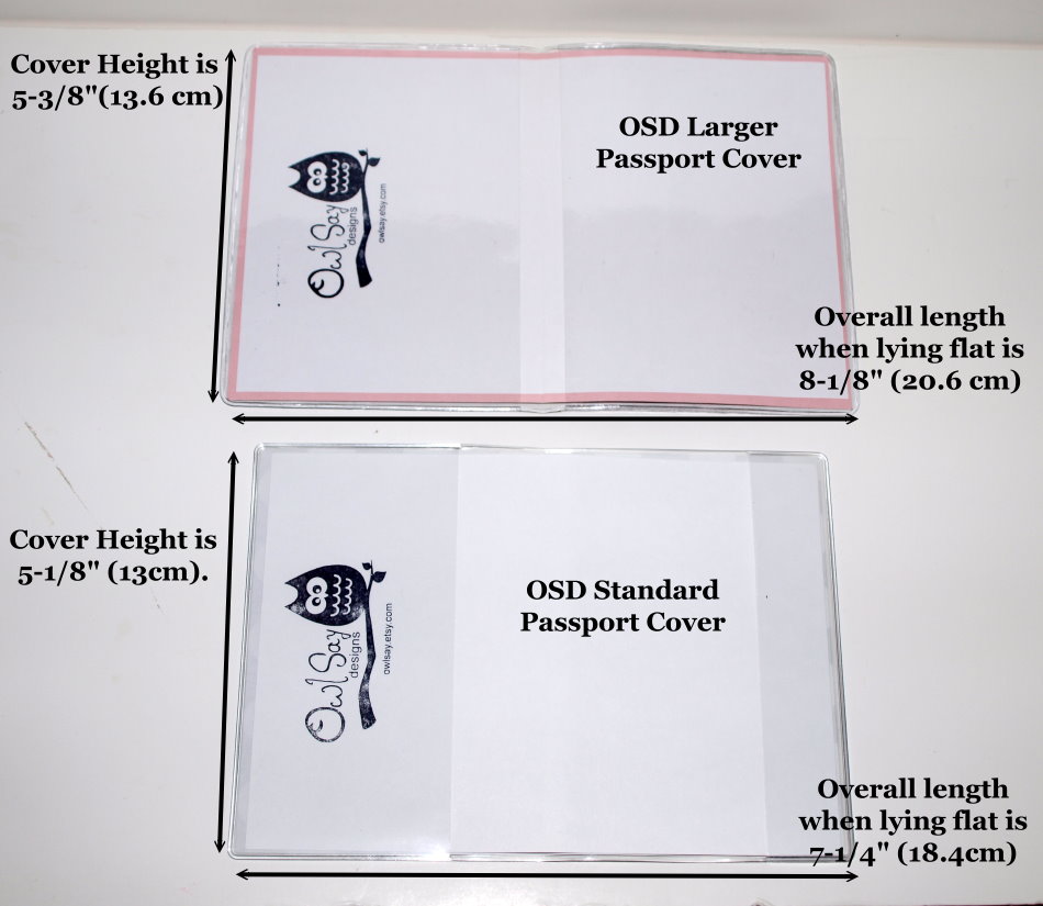 passport photo dimensions