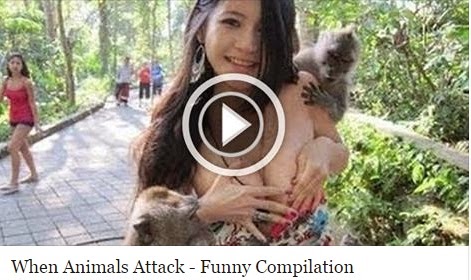 Animal-Attack-Woman
